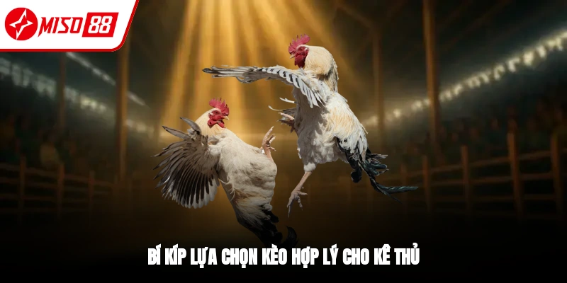 Bí kíp thắng khi cá cược đá gà cựa dao