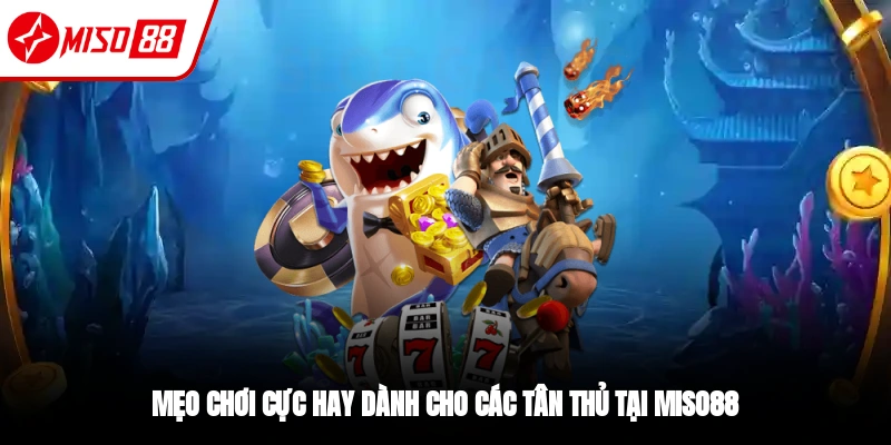 Tổng hợp kinh nghiệm chơi bắn cá Tây Du Ký